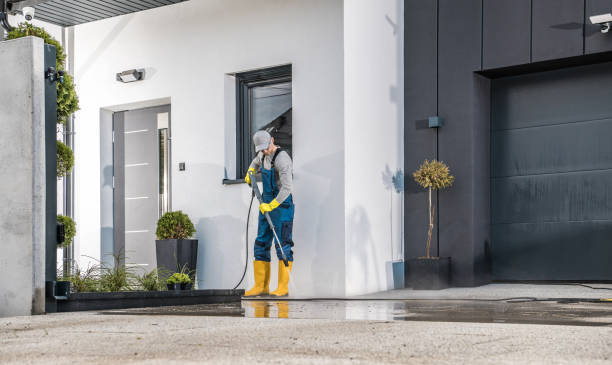 Best Pre-Holiday Cleaning  in Medpolis, IA
